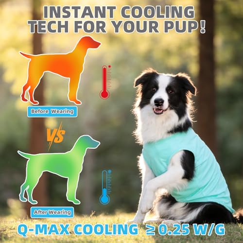 Cooling Sunblock Dog Clothes for Large Dogs (Blue & Light Green / X-Large(Chest 26", Back 19"))