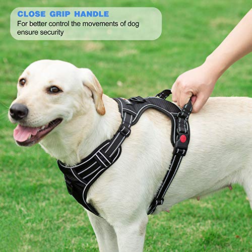 No Pull Dog Harness Adjustable Reflective Oxford Easy Control Medium Large Dog Harness with A Free Heavy Duty 5ft Dog Leash (Pink / Small)