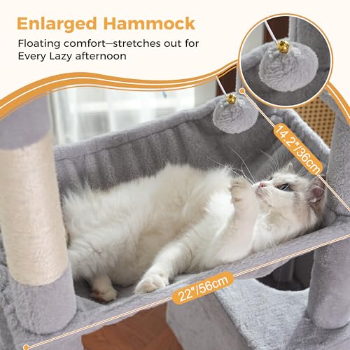 53”Cat Tree with Hammock & Extra Large Bed 23x12” for Large Cats (XLarge-53" / Gray)