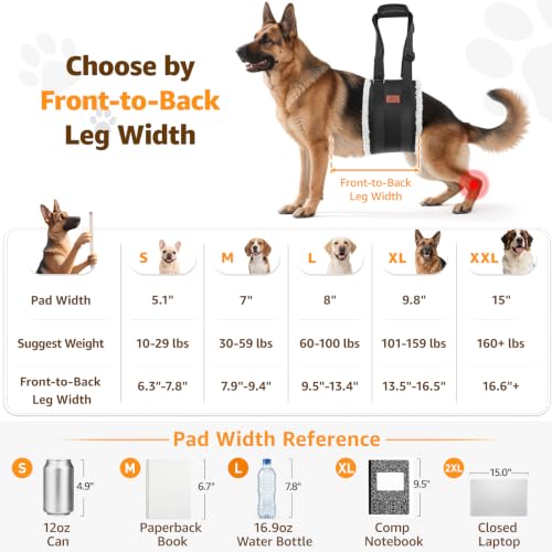 Adjustable Dog Lift Harness (Black / X-Large)
