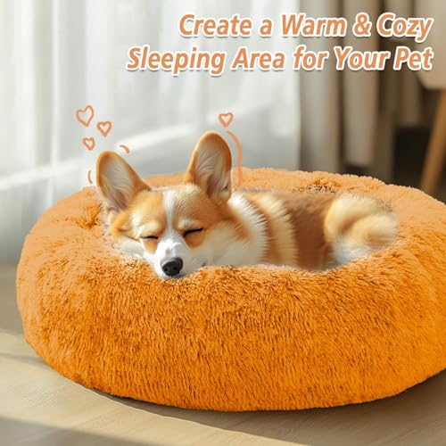 Calming Dog Bed Medium Size Dog (Orange / 27.0"L x 27.0"W x 8.0"Th)