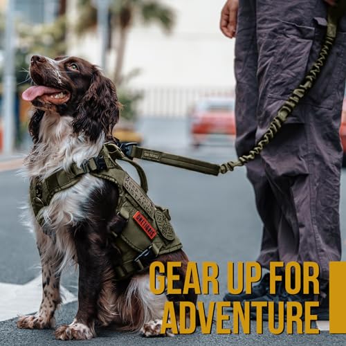 Tactical Bungee Leash with 2 Handles Quick Release (Green / 85cm-118cm/33.5in-46.5in)