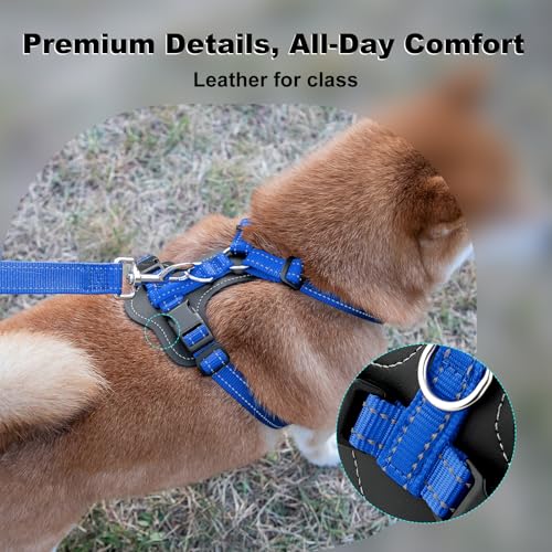 No Pull Dog Harness with Leather Accents (M / Royal Blue)