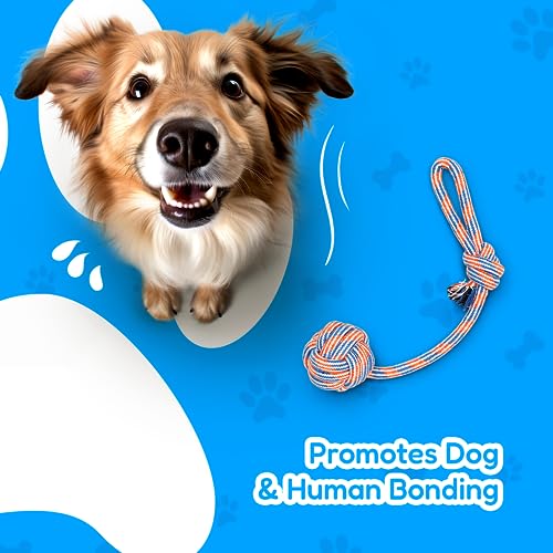 XL Dog Rope Toys for Aggressive CHEWERS (red, white, blue, orange / 4 Piece Set)