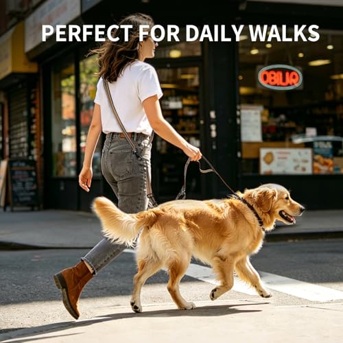 Hands Free Dog Leash by Kazazoo (Brown / M)