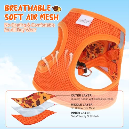 Small Dog Harness and Leash Set (Small(Chest Girth 14.5" - 16") / Autumn)