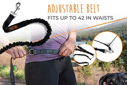 Hands Free Dog Leash (48" / Black)