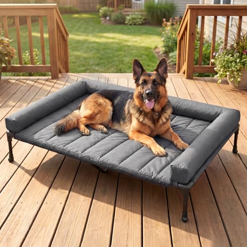 Outdoor Elevated Dog Bed with Waterproof Bolster Cushion (Black Silver / 53.0"L x 37.5"W x 9.0"Th)