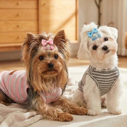 3Pack Dog Shirt Cotton Striped T (Sage Green + Blue Purple + Bright Green / S(Back: 11.8", Chest: 15.7", 5.5-8.8lbs))