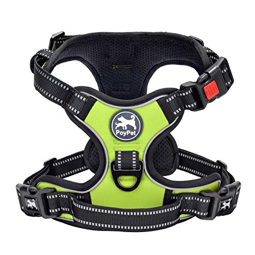 No Pull Dog Harness Small with Front Clip & Neck Release Buckle (S / Green)