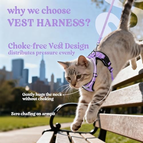 Cat Harness and Leash Set (M / Light Purple)