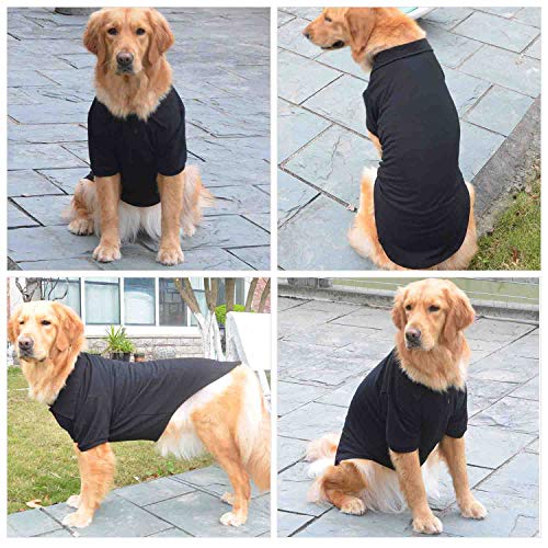 Basic Dog Polo Shirts Premium Cotton (XXL (-55lbs) / Black)