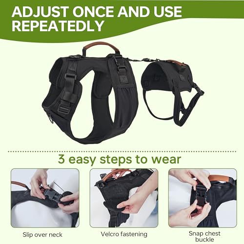 Dog Lift Harness for Male Dogs Full Body Support for Recovery & Mobility（M） (Chest Girth 21-27")