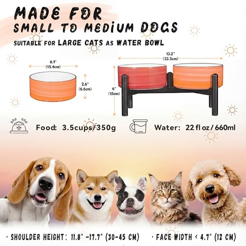 Ceramic Elevated Dog Bowl Set (Thread Orange+Red / 3.5 Cups)