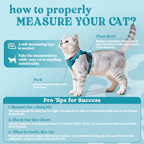 Cat Harness and Leash Set (Xxs / Teal)