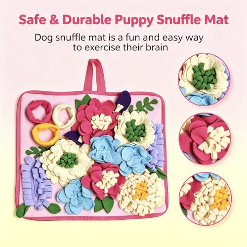 Snuffle Mat for Dogs (Small)