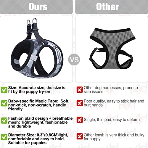 Small Dog Harness and Leash Set (XX-Small(Chest Girth 11.5"-13") / Grey)