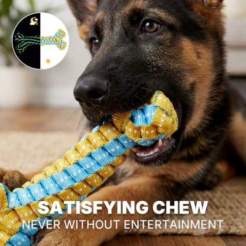 Dog Chew Toys (Star Bone -L)