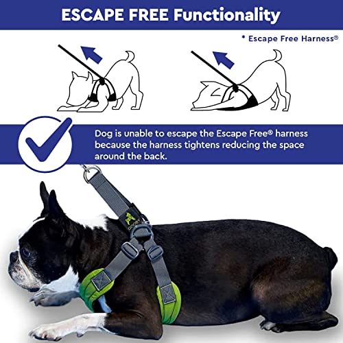 Escape Free Easy Fit Dog Harness (Small chest (16~19.25") / Blue)
