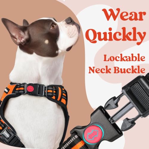 Dog Harness Medium Sized (Medium / Orange)