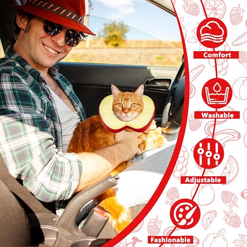 Cat Cone Collar Soft (Apple / Large)