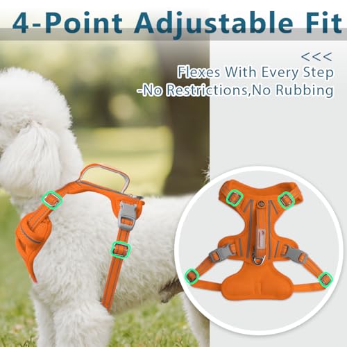 No Pull Dog Harness for Small Sized Dogs (X-Small(Chest:15.5-19.5”) / Orange)