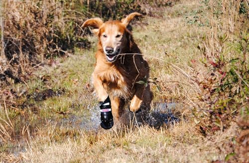 All Weather Neoprene Paw Protector Dog Boots with Reflective Straps in 5 Sizes! (Large)