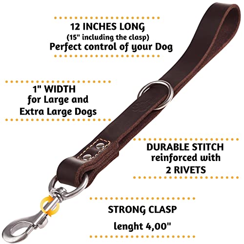 Short Leather Dog Leash 12" Length x 1" Wide (15" long x 1" width / Brown)