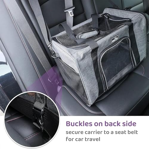 Dog Carriers for Small Dogs (19.3"L x 13"W x 13"H / 2.0 Black)