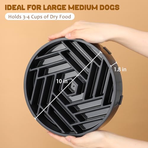 Slow Feeder Dog Bowl (grey)