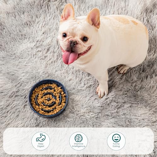 Slow Feeder Dog Bowl (S - 0.6 Cups / Blue)