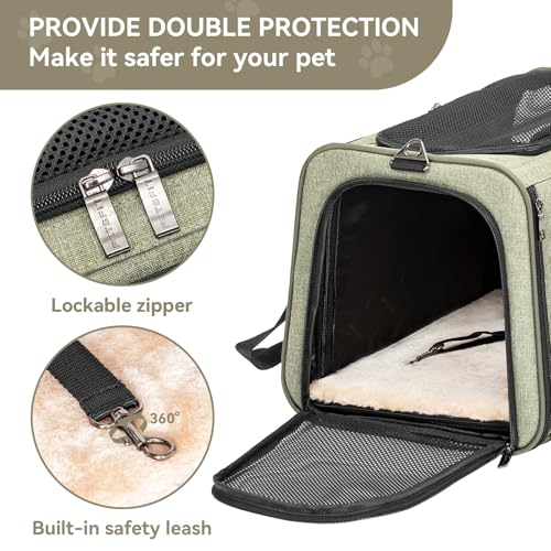 Large Expandable Cat Carrier for Travel (19"L x 12"W x 12"H / Green)