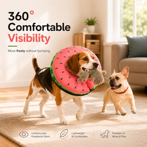 Inflatable Dog Cone After Surgery (Watermelon / M(12"-15"))