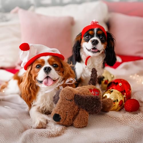 Heartbeat Dog Toy for Puppy