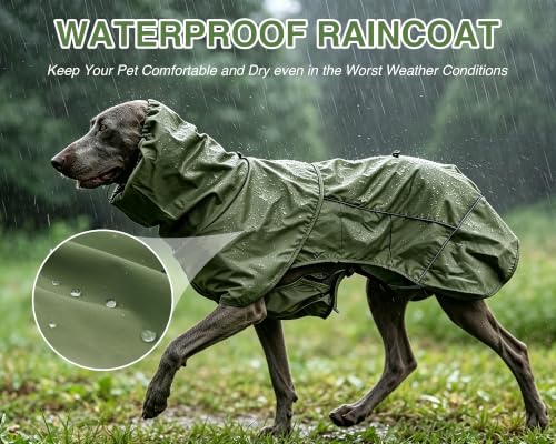 Dog Raincoat with Hood (Green (Mesh Lining) / L)