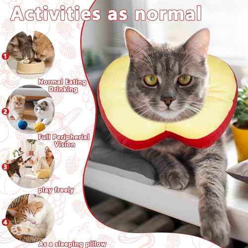 Cat Cone Collar Soft (Apple / Small)