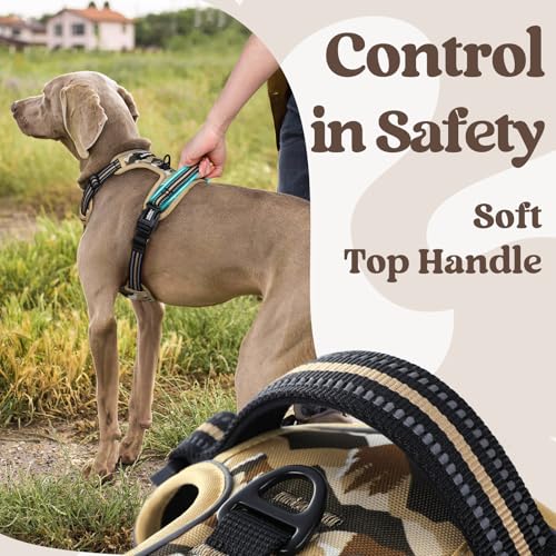 Dog Harness Small Sized (Small / Desert Ridge)