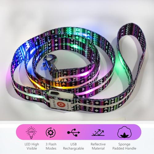 Light up Dog Leash USB Rechargeable for Small Medium Large Dogs (Bohemian purple / L59in/W1in)