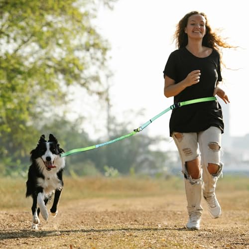 Hands Free Dog Leash for Medium Large Dogs Heavy Duty (GreenBlue)