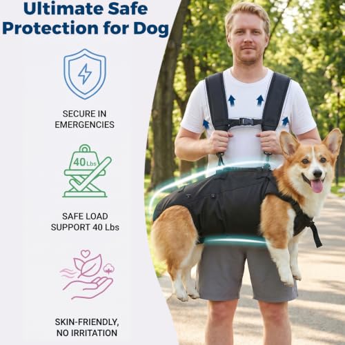 Dog Backpack Carrier Lift Harness (Medium)