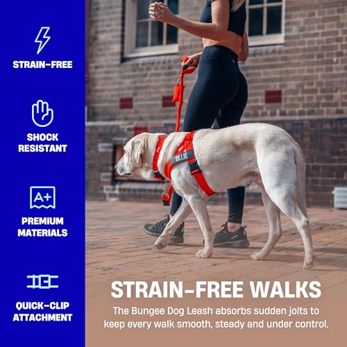 Bungee Dog Leash (Burgundy / Regular)