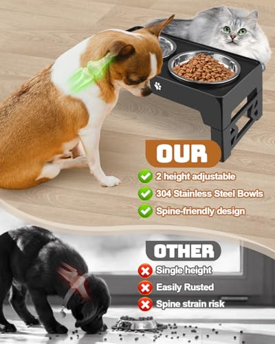 Elevated Dog Bowls for Small Dogs and Cats (for Small Dogs and Cats 2 Basic Bowls / Black)