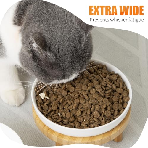 Shallow Wide Elevated Cat Bowls Whisker Fatigue (Blue)