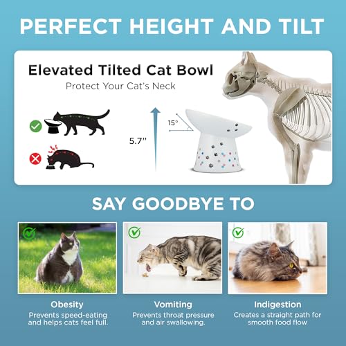 Necoichi Ceramic Elevated Food Bowl (Colorful Dots / Large Extra Wide Tilted)