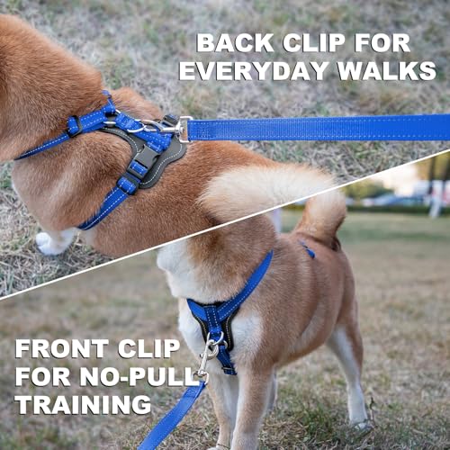 No Pull Dog Harness with Leather Accents (S / Royal Blue)