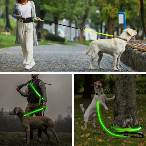 Light Up Waist Leash for Dog Walking (Green)