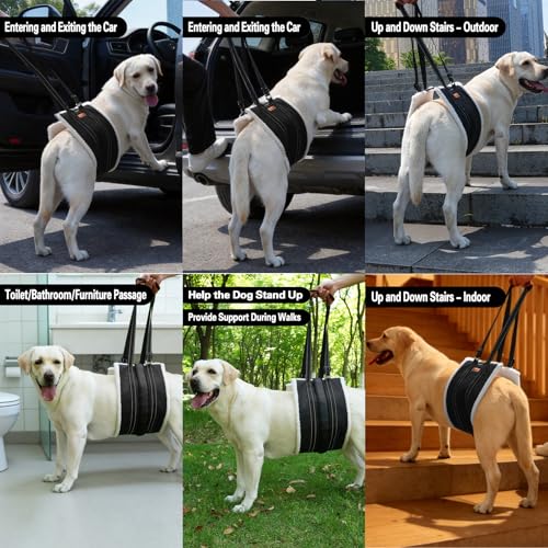 Dog Lift Harness (Black / M - Betwwen-Leg Spacing: 7.9"-10”)