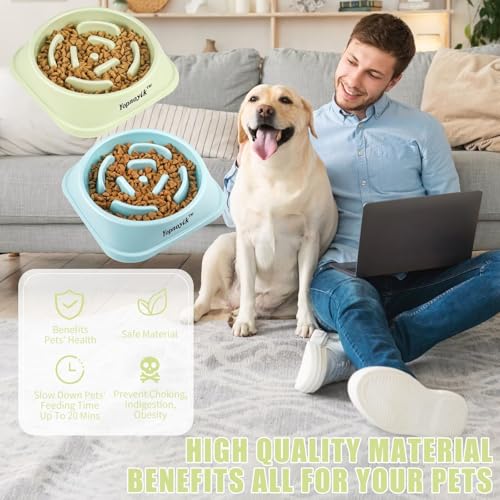2 Pack Slow Feeder Dog Bowls for Medium Dogs & Cats (Medium / Green and Light Blue)
