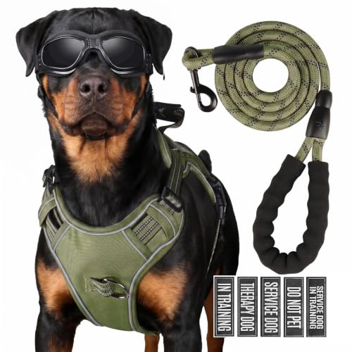Dog Harness and Leash Set for Large Dogs (Army Green / L)