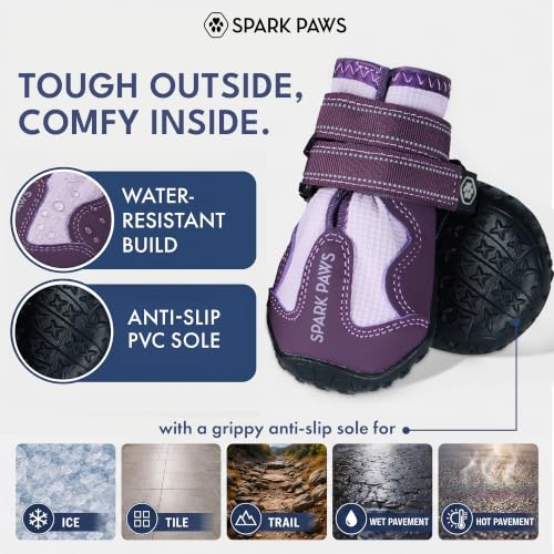 365 Dog Shoes (365 Purple / Size 3: 2"x2.36"(W*L) (Pack of 4))